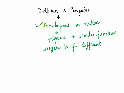 a-sharks-dorsal-fin-and-a-penguins-wing-would-be-an-example-of-homologous-trait-true-false-54678