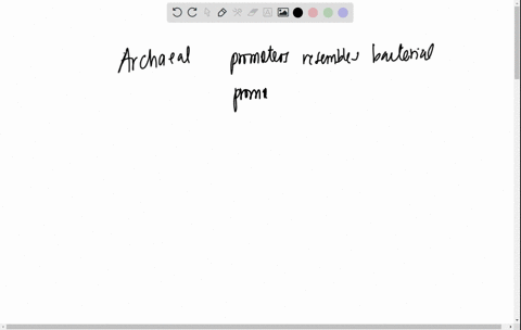 which-of-the-following-regarding-gene-expression-in-archaea-is-false-the-single-rna-polymerase-resembles-eukaryotic-rna-polymerase-archaeal-promoters-resemble-bacterial-promoters-archacal-in-51398