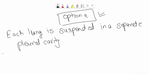 29-which-f-the-following-statements-concerning-the-lungs-and-the-pleura-is-true-each-lung-is-suspended-in-a-separate-pleural-cavity-parietal-pleura-covers-the-surface-of-each-lung-the-space-18354