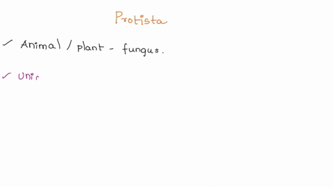 pseudopod-contractile-vacuole-food-vacuole-nucleus-endoplasm-membrane-ectoplasm-72704
