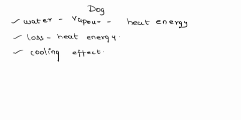 on-a-warm-day-a-dog-pants-and-some-of-the-water-on-its-tongue-evaporates-this-evaporation-has-a-_______-effect-that-is-caused-by-_______-group-of-answer-choices-warming-conduction-warming-la-95314