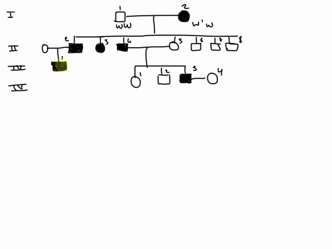 for-a-family-some-of-pedigree-chart-in-the-figud-refers-to-the-e-indicated-by-following-question-affected-individuals-the-lexhibit-the-dominant-trait-whose-members-dark-square-circle-61823