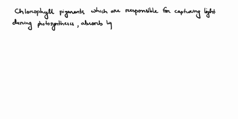 chlorophyll-pigment-absorbs-maximum-light-in-wavelengths-of-red-and-blue-true-or-false-51588