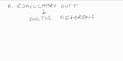 question-40-1pts-the-ejaculatory-duct-is-formed-by-the-ampulla-and-the-prostatic-urethra-the-ductus-deferens-and-the-ducts-of-the-prostate-gland-and-bulbourethral-glands-the-ampulla-and-the-68602