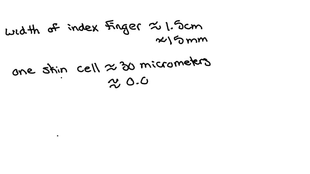 SOLVED: If you lined up human skin cells side-by-side, how many would