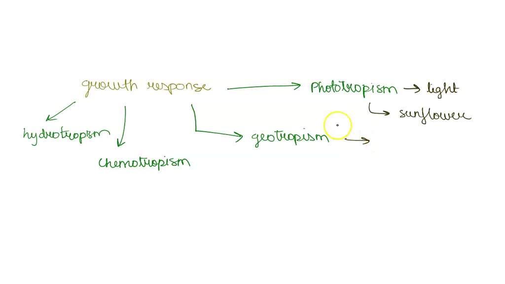 solved-identify-the-type-of-growth-response-that-each-plant-demonstrates