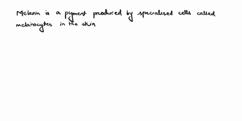 which-of-the-following-contributes-most-to-skin-color-a-erythrocytes-b-carotene-c-melanin-d-hemoglobin-e-cold-weather-59138