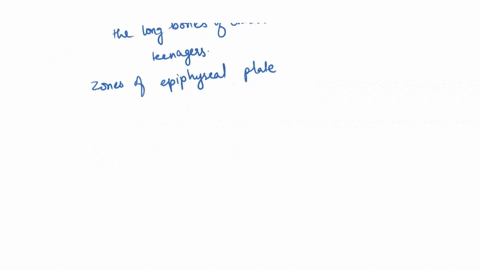 in-what-layer-of-the-epiphyseal-plate-is-the-process-of-mitosis-occurring-00836