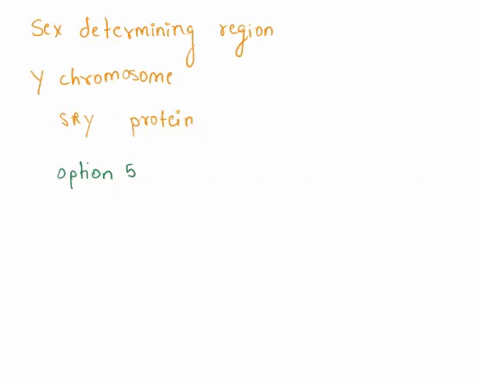the-sex-determining-region-of-the-y-chromosome-sry-in-human-codes-for-the-sry-protein-also-known-as-the-testis-determining-factor-which-of-the-following-is-true-about-testis-determining-fact-92005