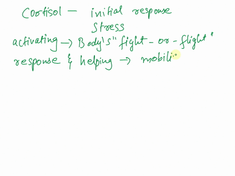 what-function-does-cortisol-play-in-the-initial-response-to-stress-35316