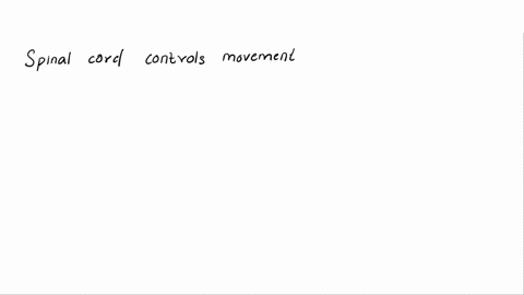 it-controls-movement-of-muscles-a-sensory-nerves-b-reflex-action-c-spinal-cord-d-vaccine-ecerebellum-f-neuron-g-cerebrum-17923