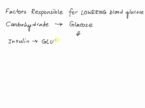 which-of-the-following-is-responsible-for-lowering-blood-glucose-levels-a-glucose-being-stored-as-glycogen-in-the-liver-b-cells-performing-cellular-respiration-c-pancreas-decreasing-insulin-86115