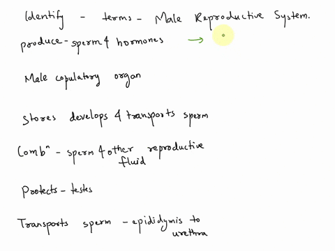 identify-the-structures-of-the-male-reproductive-system-using-the-drop-down-menus-the-produce-sperm-and-hormones-the-is-the-male-copulatory-organ-the-stores-develops-and-transports-sperm-is-03688