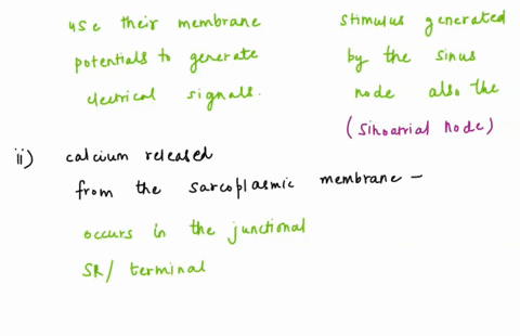 compare-and-contrast-the-contraction-of-a-skeletal-muscle-fiber-vs-a-cardiac-muscle-fiber-a-what-creates-the-electrical-signal-b-how-is-calcium-released-from-the-sarcoplasmic-reticulum-c-how-35335