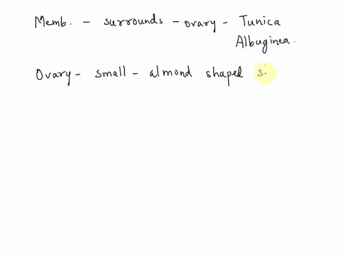 the-membrane-surrounding-the-ovary-is-the-tunica-albuginea-true-or-false-55087