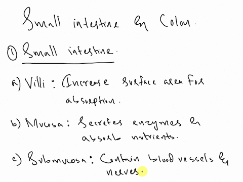 one-structure-and-one-function-of-each-of-the-labelling-please-type-so-i-can-understand-ensure-it-pertaining-to-the-organ-showing-small-intestine-villi-mucosa-submucosa-intestinal-crypt-musc-92498