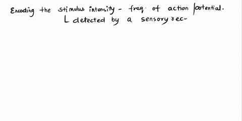 question-24-encoding-the-stimulus-intensity-occurs-via-continuous-conduction-occurs-when-the-frequency-of-action-potentials-increase-or-decrease-occurs-via-saltatory-conduction-occurs-during-17547