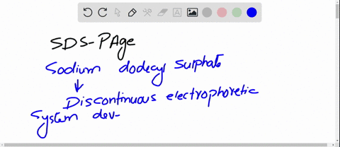 sodium-dodecyl-sulfate-polyacrylamide-gel-electrophoresis-sds-page-analysis-of-proteins-depends-upon-stacking-of-the-proteins-into-a-sharp-line-before-they-separate-in-the-separating-gel-acc-83091