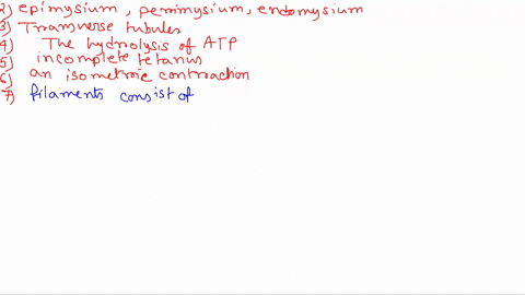 the-connective-tissue-coverings-of-a-skeletal-muscle-listed-from-superficial-t0-deep-are-a-endomysium-perimysium-and-epimysium-6-endomysium-epimysium-and-perimysium-c-epimysium-endomysium-an-68874