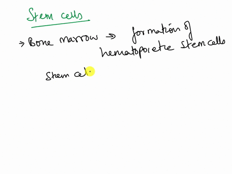all-immune-cells-begin-as-immature-_____________-a-phagocytes-b-b-cells-c-t-cells-d-stem-cells-67485