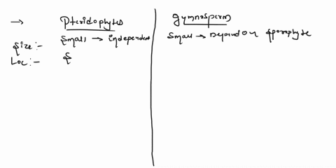 how-are-the-male-and-female-gametophytes-of-pteridophytes-and-gymnosperms-different-from-each-other-78696