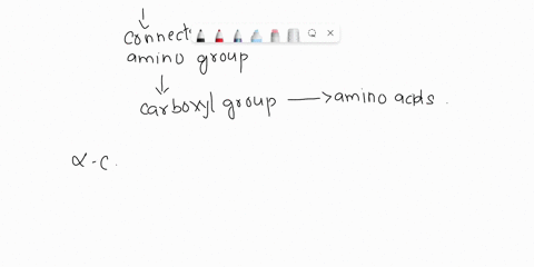 how-many-alpha-carbons-are-in-amino-acid-87199