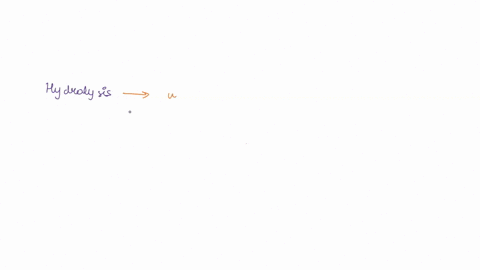 how-is-the-enzyme-affected-in-the-hydrolysis-process-74356