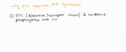 why-does-the-electron-transport-chain-require-atp-synthase-03488