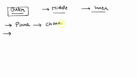 name-the-parts-of-the-outer-ear