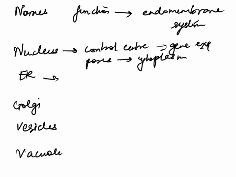 what-are-the-names-and-functions-of-the-major-organelles-of-the-endomembrane-system-in-eukaryotic-ce-55587