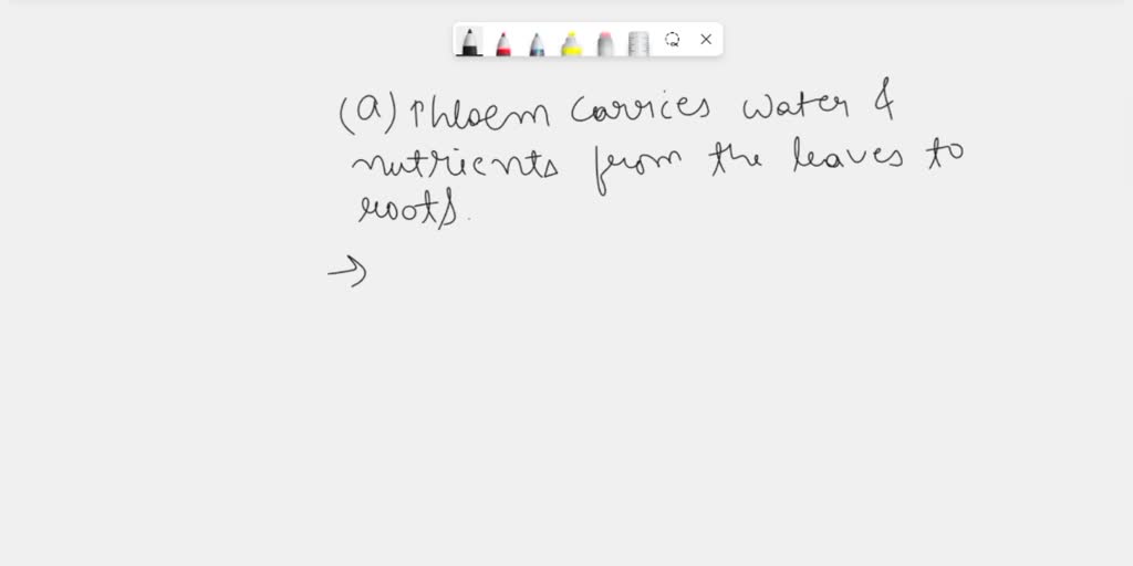 SOLVED Xylem is a plant tissue made up of elongated cells stacked end