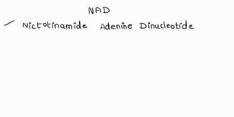 nad-is-a-coenzyme-form-of-the-vitamin-_____-1-riboflavin-2-thiamine-3-biotin-4-pantothenic-acid-5-none-of-the-above-most-vitamins-function-as-1-enzymes-2-provitamins-3-coenzymes-4-energy-in-25034
