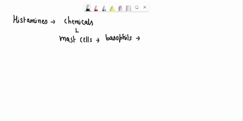 vasodilation-of-capillaries-and-small-blood-vessels-during-inflammation-is-caused-primarily-by-complement-histamines-eosinophils-neutrophils-96038
