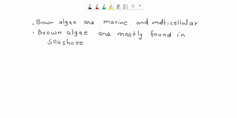 which-of-the-statements-about-brown-algae-are-true-they-are-all-multicellular-they-are-found-mostly-in-lakes-and-ponds-they-are-photosynthetic-protists_-they-are-commonly-called-seaweed-they-86738