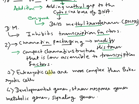 what-is-the-general-effect-of-dna-methylation-on-transcription-how-does-dna-methylation-affect-chromatin-packaging-whyhow-adaptive-for-eukaryotes-to-have-levels-to-control-bene-expression-wh-85026