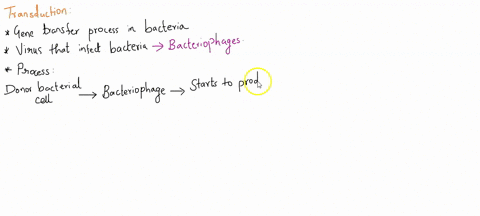 in-transduction-the-recombinant-cell-will-always-have-the-same-genotype-as-the-original-recipient-cell-true-or-false-true-false-29747