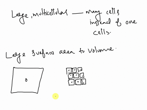explain-why-large-multicellular-organisms-must-have-trillions-of-microscopic-cells-rather-than-thousands-of-larger-cells-08174