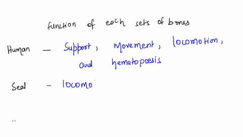 describe-the-function-of-each-set-of-bones-below-animal-function-human-seal-horse-bat-bird-turtle-93714