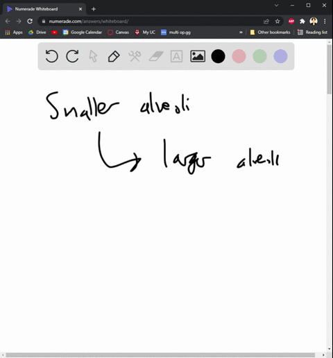 according-to-the-law-of-laplace-air-should-flow-from-the-smaller-alveoli-to-the-larger-collapsing-them-in-the-lungs-several-factors-counter-that-tendency-and-stabilize-the-alveolar-structure-29668