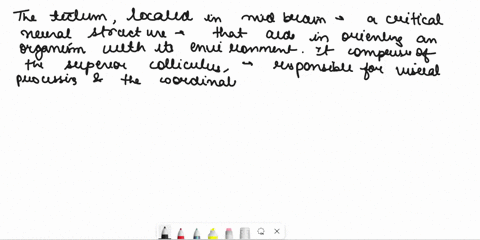 the-ieci-nictunc-the-mid-bruin-that-helps-orcni-enytoniicnl-pages-_-humans-arc-the-onlyanimul-to-haie-reward-centers-located-thc-brain-pogcs-minor-nuton-ar-those-ncurons-that-onl-become-acti-21948