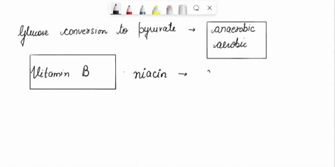 long-essay-questions-1-glucose-is-central-to-carbohydrate-metabolism-in-living-things-it-is-used-for-energy-production-and-for-the-formation-of-important-biological-molecules-in-the-human-bo-37055