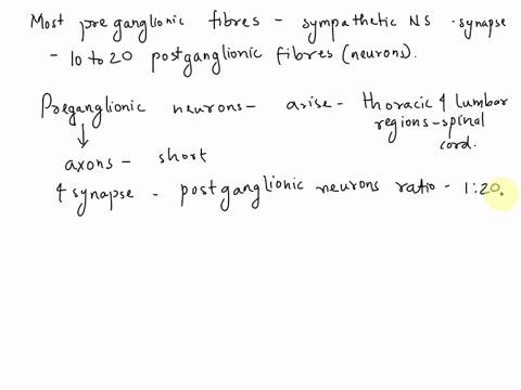 points-question-most-preganglionic-fibers-in-the-sympathetic-nervous-system-synapse-with-10-to-20-postganglionic-neurons-this-results-in-a-sympathetic-fibers-arising-in-itle-spinal-cord-all-84835