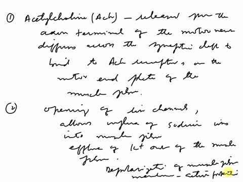 how-does-that-action-potential-down-the-motor-neuron-result-in-contraction-of-the-muscles-describe-the-series-of-events-of-events-that-occurs-in-excitation-contraction-coupling-begin-with-ac-41975