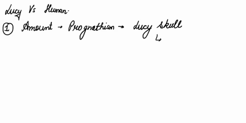 it-recede-is-it-vertical-does-it-protrude-size-of-the-braincase-smaller-larger-relative-to-the-face_-much-or-little-postorbital-constriction-what-is-the-position-of-the-foramen-magnum-center-56748