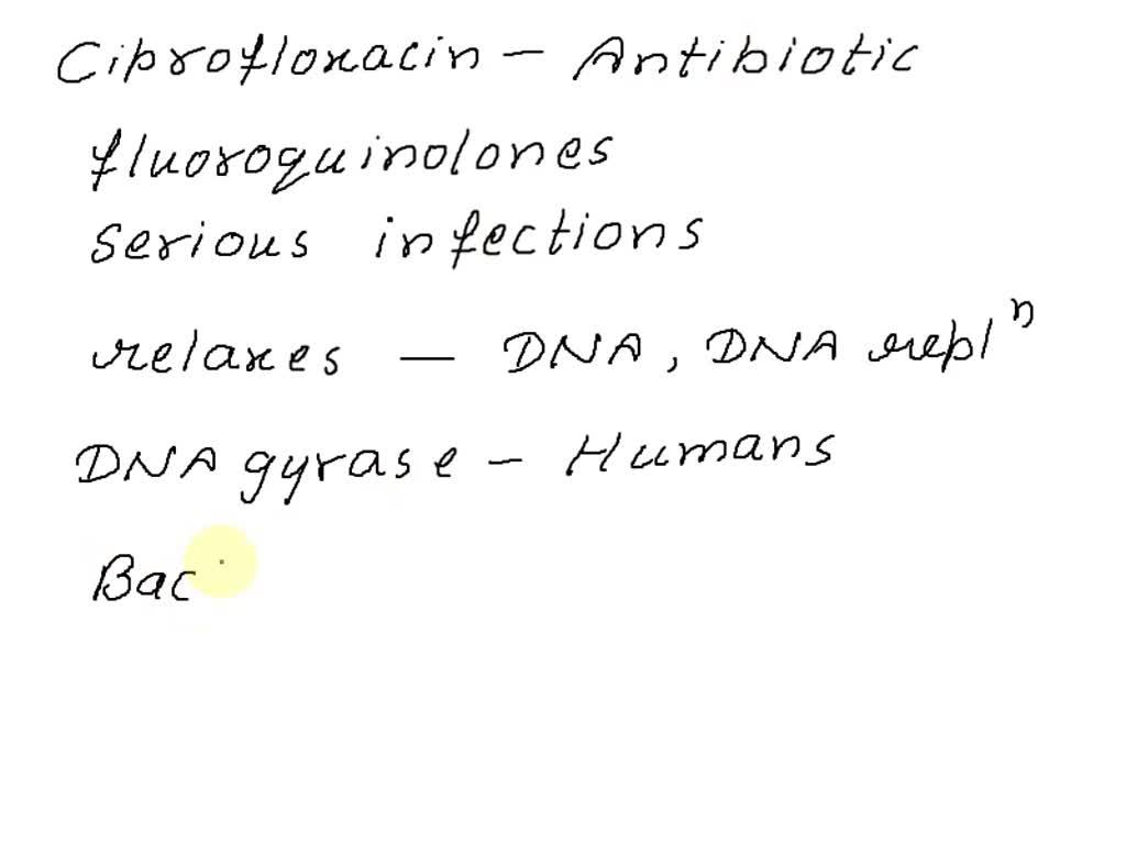 solved-why-do-antibiotics-like-ciprofloxacin-not-effect-human-cells