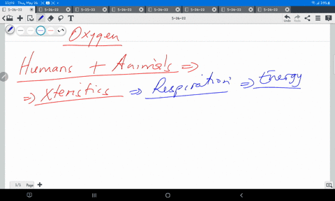 what-is-the-correct-answer-to-this-problem-humans-and-animals-need-oxygen-correct-40115
