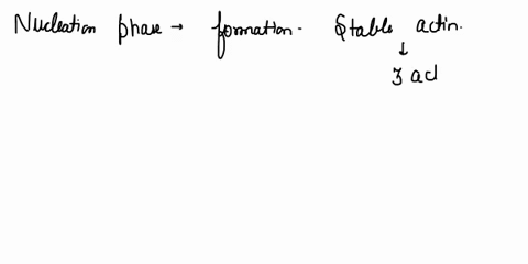 you-study-ligand-binding-to-two-proteins-a-and-b-aka-macromolecules-m-you-measured-the-concentration-mx-of-the-ligand-bound-form-of-the-protein-at-various-ligand-concentrations-x_-the-data-a-33674