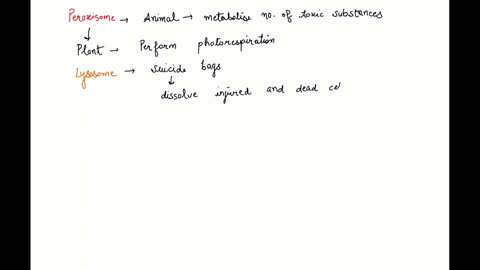 which-of-the-following-organelles-produces-large-quantities-of-atp-when-both-glucose-and-oxygen-are-16945