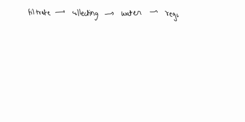 where-in-the-nephron-does-most-solute-reabsorption-occur-20104
