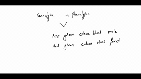 what-culd-ba-the-gcnolyhlc-and-phenotynlc-rafio-di-cross-betwccn-red-green-colar-blind-male-and-carrier-for-red-grcen-colar-blindness-curiale-73144